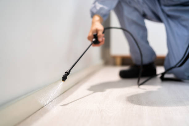 Licensed Pest Control service in Hurst, TX - Show Me Pest Control